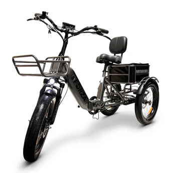 E-Trikes
