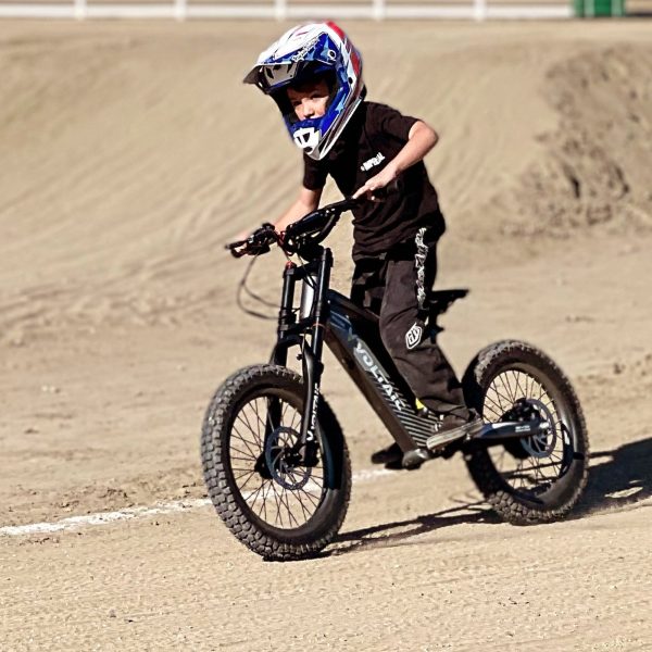 Voltaic Youth Electric Dirt Bike 18'' Flying Fox - Image 4
