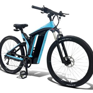 Rundeer Starry Sky UD Carbon Fiber Electric Bike
