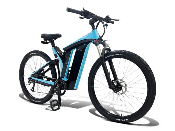 Rundeer Starry Sky UD Carbon Fiber Electric Bike