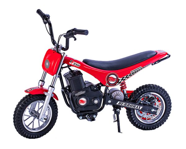 BurroMax TT250 Electric Mini Bike PRE-ORDER SHIP FEB 2025