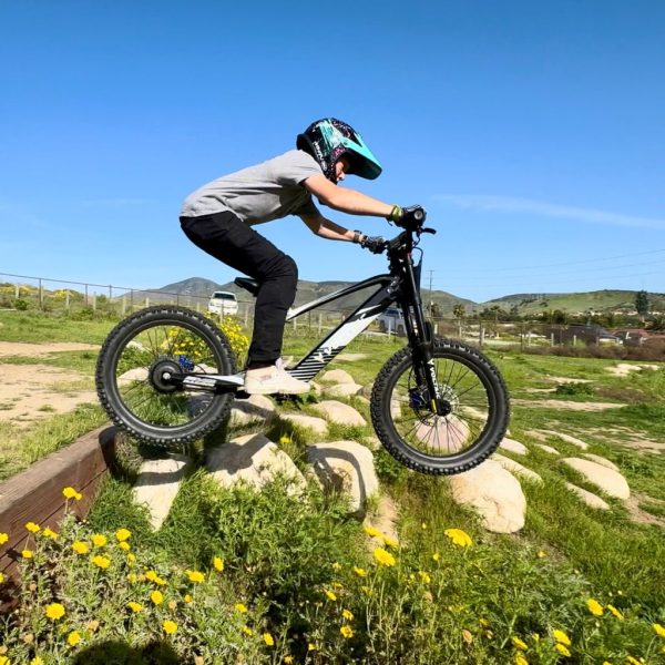 Voltaic Youth Electric Dirt Bike 20'' Flying Fox - Image 2