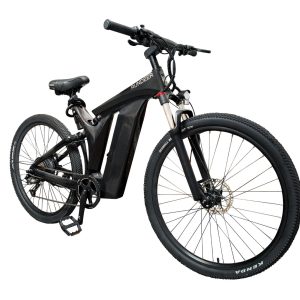 Rundeer Starry Sky 3K Carbon Fiber Electric Bike