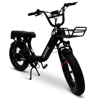Dual_Seat_Bike.png