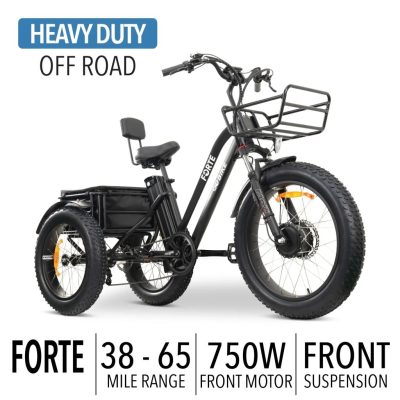 FORTEElectricTricycle.jpg