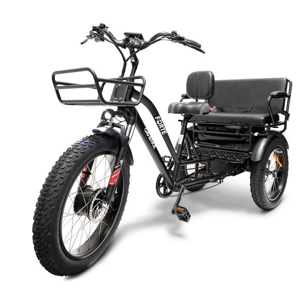 GoBike FORTE Electric Tricycle with Rear Seat - Image 4