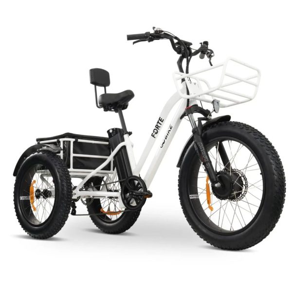 GoBike FORTE Electric Tricycle - Image 2