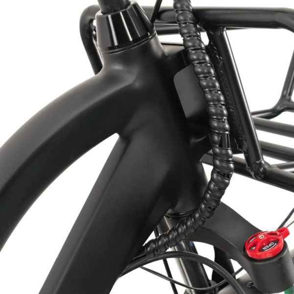 GoBike FORTE Electric Tricycle - Image 11