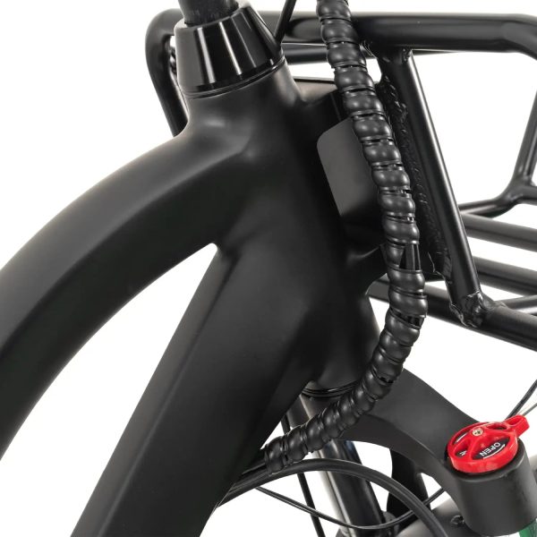 GoBike FORTE Electric Tricycle with Rear Seat - Image 13