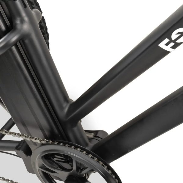 GoBike FORTE Electric Tricycle - Image 12