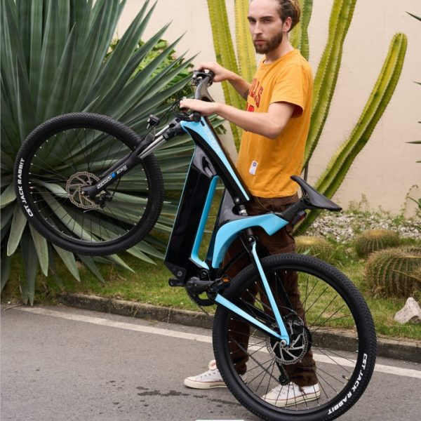 Rundeer Starry Sky UD Carbon Fiber Electric Bike - Image 6