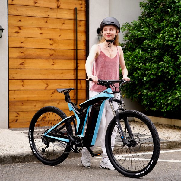 Rundeer Starry Sky UD Carbon Fiber Electric Bike - Image 2