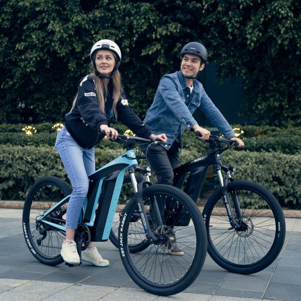 Rundeer Starry Sky 3K Carbon Fiber Electric Bike - Image 5
