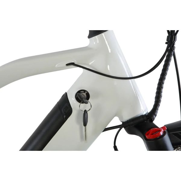 GoBike ROBUSTO Electric Mountain Bike - Image 16
