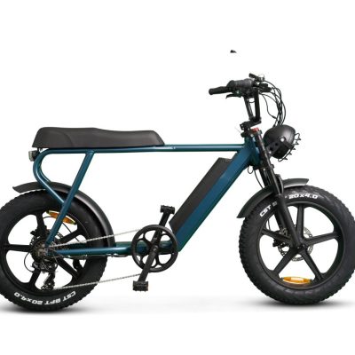 Happy-Ernie-Pro-Step-Over-Electric-Bike-in-blue-side.jpg