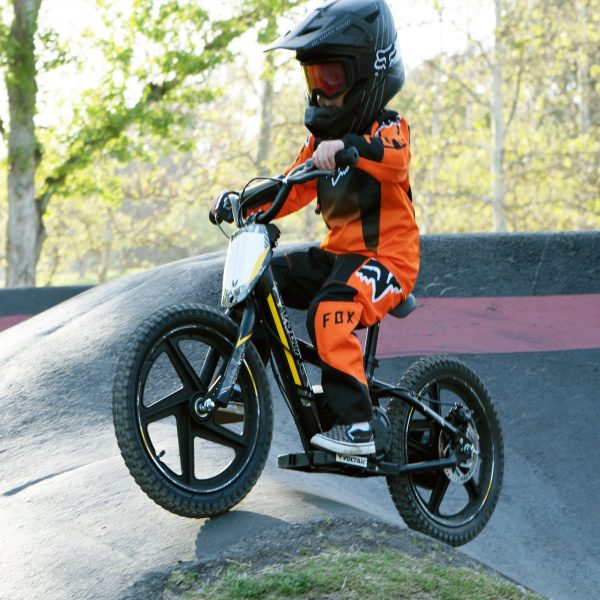 Voltaic Kids Electric Dirt Bike 16'' Lion - Image 14