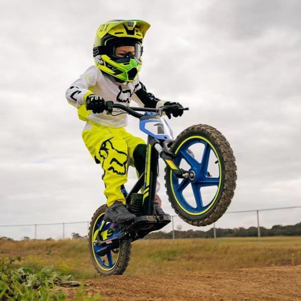 Voltaic Kids Electric Dirt Bike 12'' Cub - Image 9