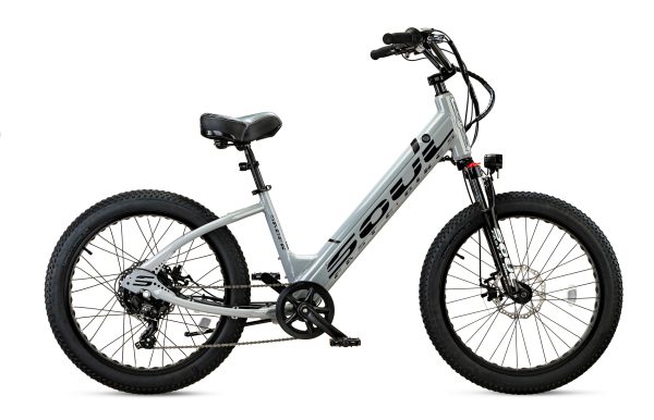 Soul Low Electric Bike - Image 3