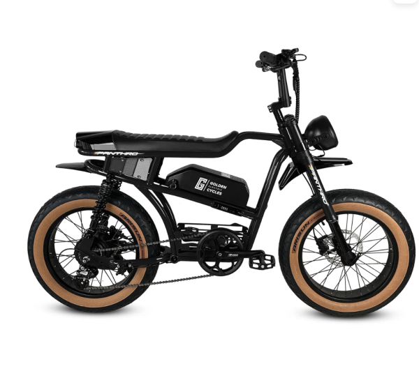 Golden Cycles Panthro - Image 5