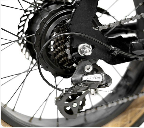 Golden Cycles Panthro - Image 6