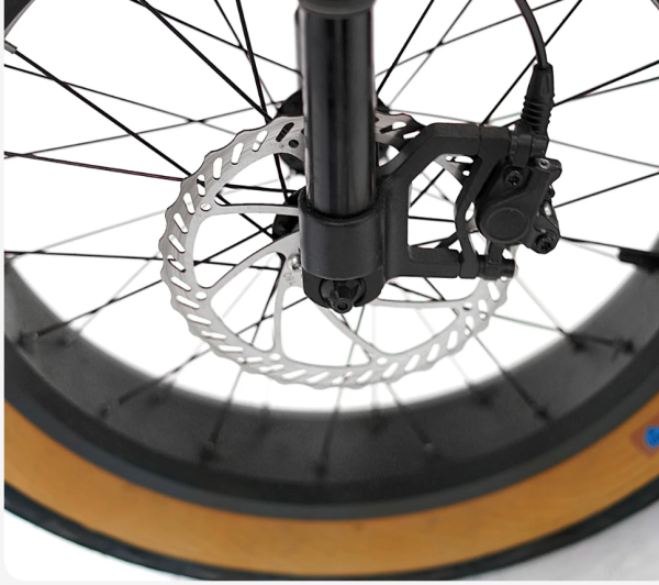 Golden Cycles Panthro - Image 7