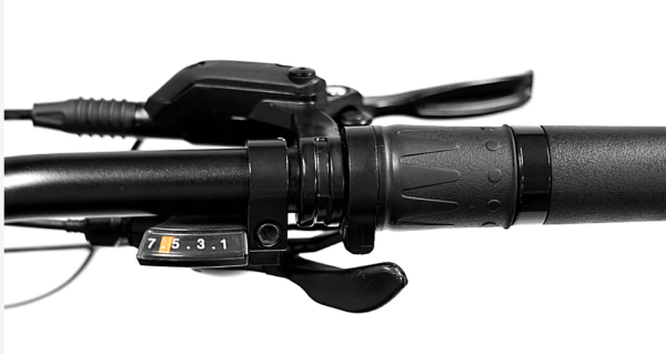 Golden Cycles Panthro - Image 9