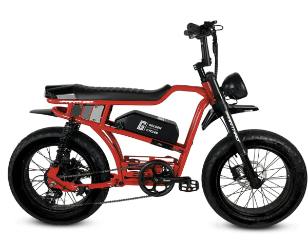 Golden Cycles Panthro - Image 11