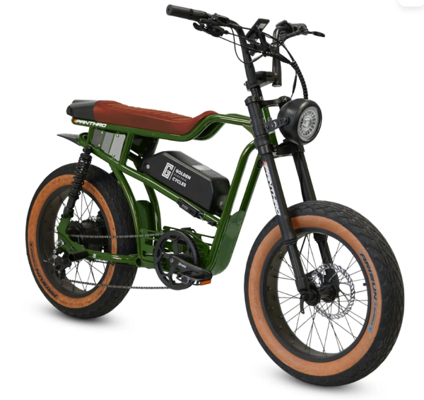 Golden Cycles Panthro - Image 12