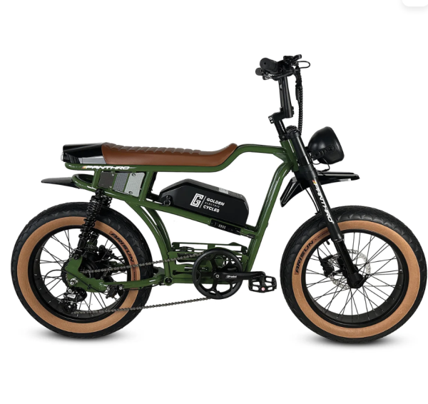 Golden Cycles Panthro - Image 13