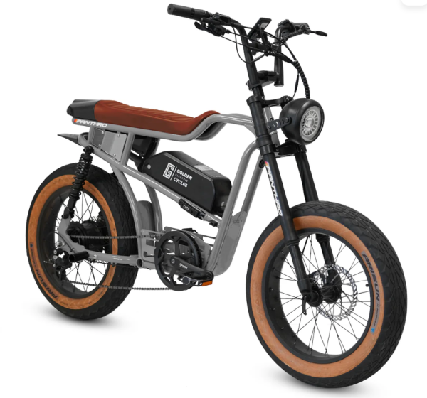 Golden Cycles Panthro - Image 14