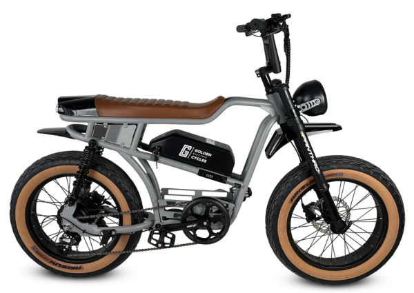 Golden Cycles Panthro - Image 15
