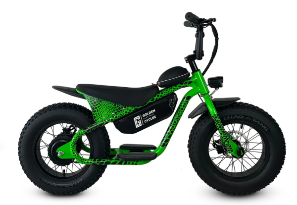 Golden Cycles Big Boy - Image 8