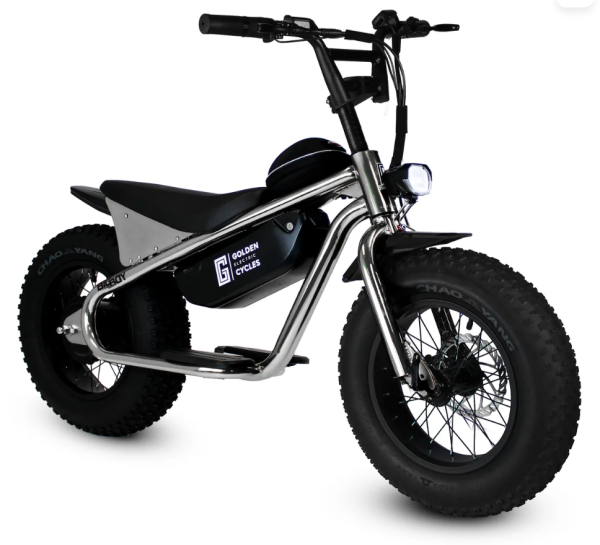 Golden Cycles Big Boy - Image 7