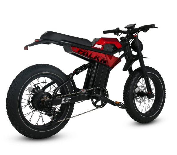 Golden Cycles Falkn - Image 8