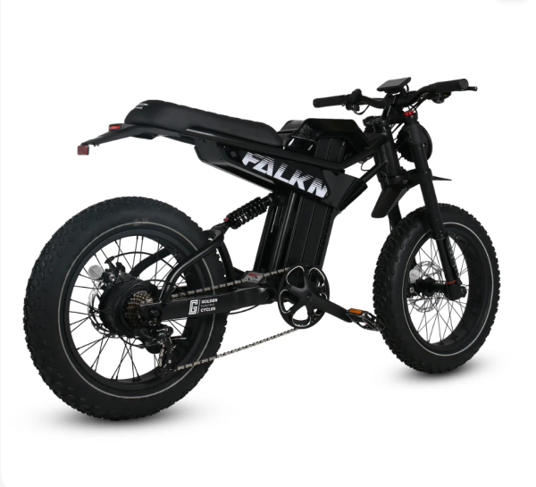 Golden Cycles Falkn - Image 2