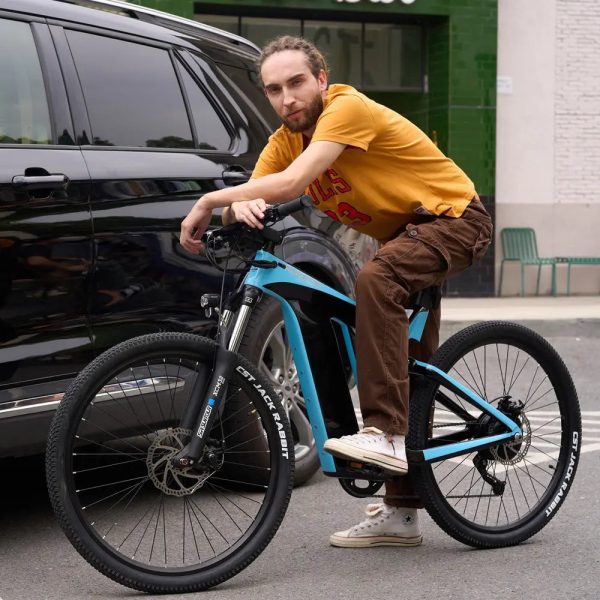 Rundeer Starry Sky UD Carbon Fiber Electric Bike - Image 5