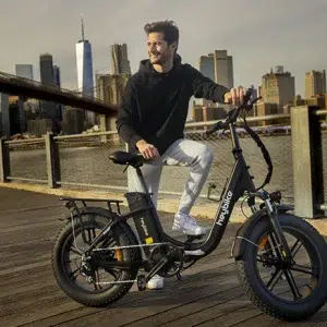 Step-Thru E-Bikes