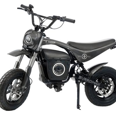 TT1600R-glosy.jpg