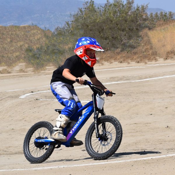 Voltaic Youth Electric Dirt Bike 20'' Flying Fox 48V - Image 2