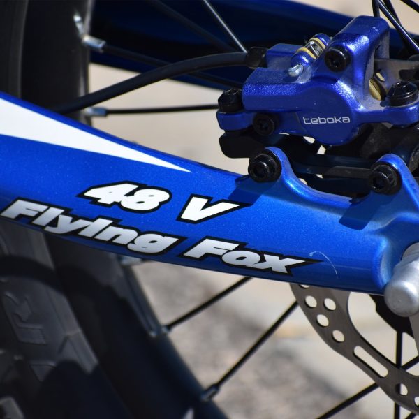 Voltaic Youth Electric Dirt Bike 20'' Flying Fox 48V - Image 15