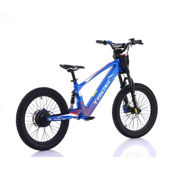 Voltaic Youth Electric Dirt Bike 20'' Flying Fox 48V - Image 6