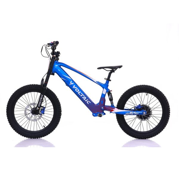 Voltaic Youth Electric Dirt Bike 20'' Flying Fox 48V - Image 8