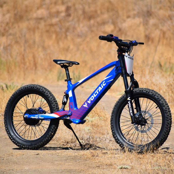 Voltaic Youth Electric Dirt Bike 20'' Flying Fox 48V - Image 3