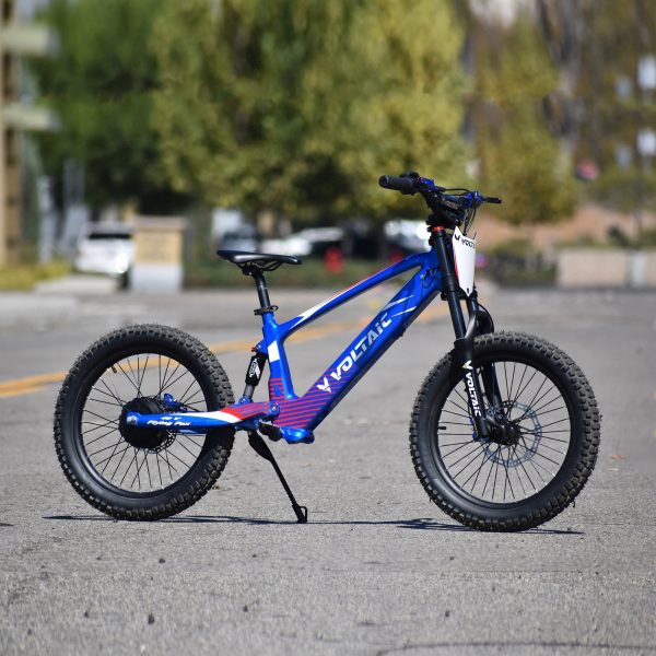 Voltaic Youth Electric Dirt Bike 20'' Flying Fox 48V - Image 13
