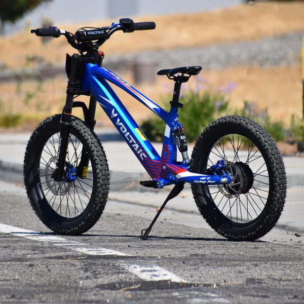 Voltaic Youth Electric Dirt Bike 20'' Flying Fox 48V - Image 10
