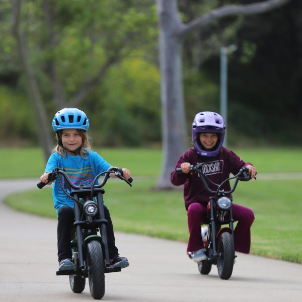 Voltaic Kids Electric Motorcycle ZapZoom - Image 2