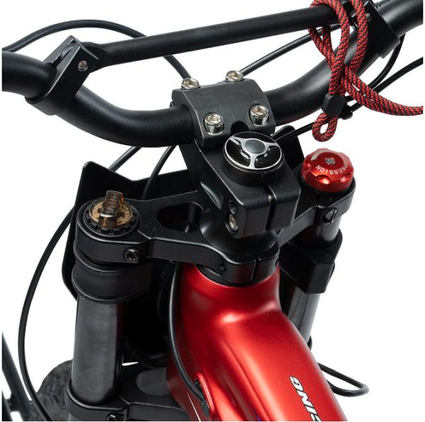 RFN Evo Racing 16 E-Moto - Image 9