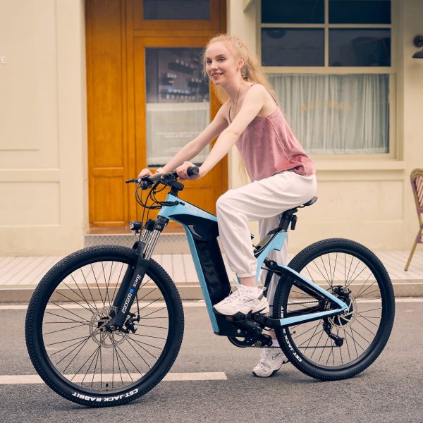 Rundeer Starry Sky UD Carbon Fiber Electric Bike - Image 3