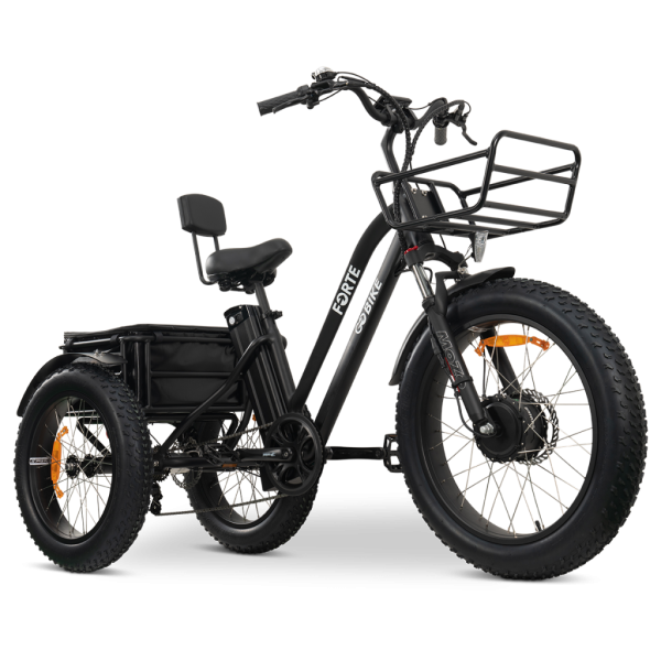 GoBike FORTE Electric Tricycle - Image 13