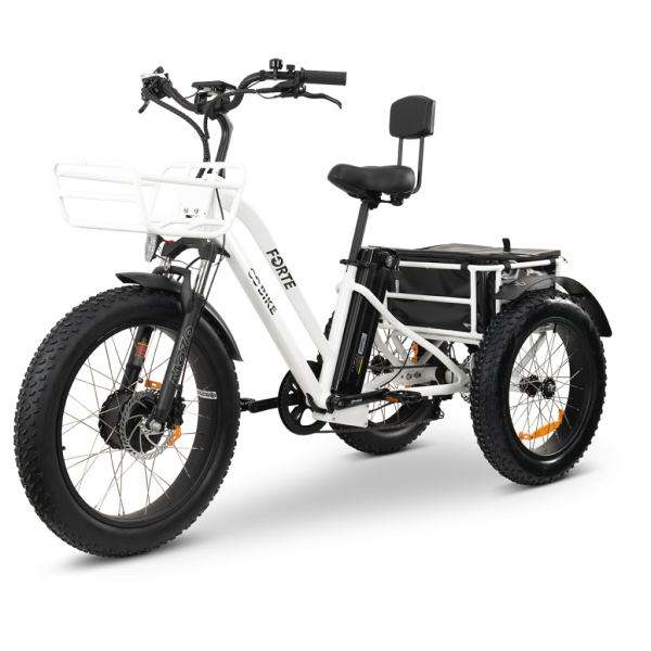 GoBike FORTE Electric Tricycle - Image 14